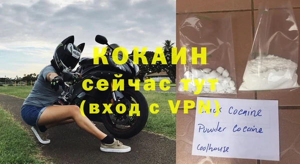 гидра Михайловка