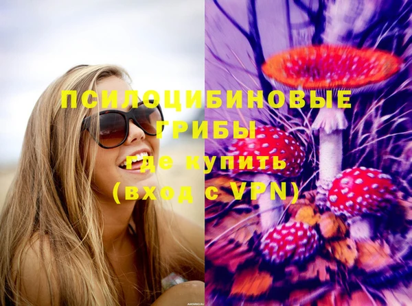 крисы Ладушкин